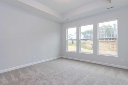 New construction Single-Family house 3391 Mission Olive Place, New Hill, NC 27562 - photo 13 13