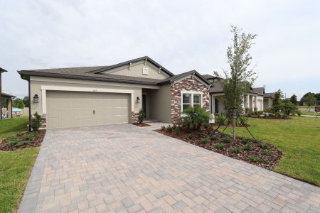 New construction Single-Family house 837 Hillshire Place, Spring Hill, FL 34609 Marque- photo 8 8