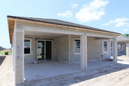 New construction Single-Family house 31843 Sapna Chime Drive, Wesley Chapel, FL 33545 Picasso- photo 55 55