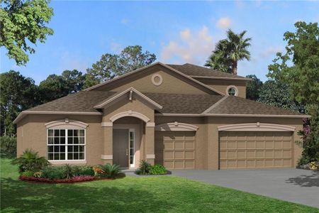 New construction Single-Family house 9530 Seagrass Port Pass, Wesley Chapel, FL 33545 - photo 0