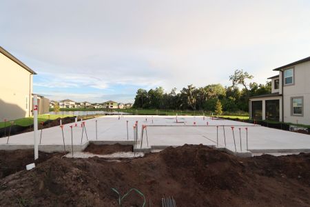 New construction Single-Family house 4908 Eagle Rock Drive, Wimauma, FL 33598 Barcello- photo 6 6