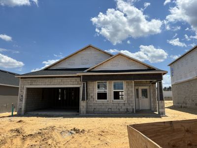 New construction Single-Family house 900 Pointe Emerson Boulevard, Apopka, FL 32703 Capistrano II - Eco Series- photo 12 12