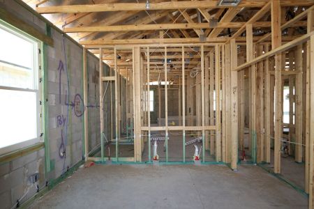 New construction Single-Family house 31843 Sapna Chime Drive, Wesley Chapel, FL 33545 Picasso- photo 53 53