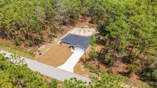 New construction Single-Family house 117 Nw Sparrow Road, Dunnellon, FL 34431 - photo 44 44
