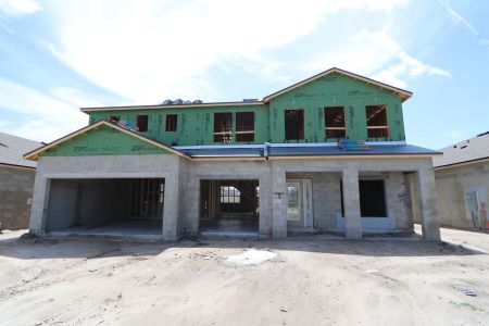New construction Single-Family house 32556 Sapna Chime Drive, Wesley Chapel, FL 33545 Dali- photo 20 20