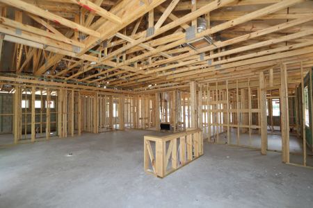 New construction Single-Family house 2517 Clary Sage Drive, Spring Hill, FL 34609 Corina  III- photo 24 24