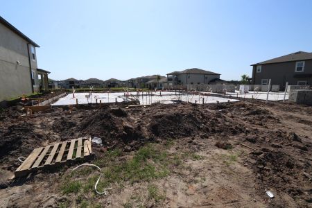 New construction Single-Family house 9476 Seagrass Port Pass, Wesley Chapel, FL 33545 Dali- photo 6 6