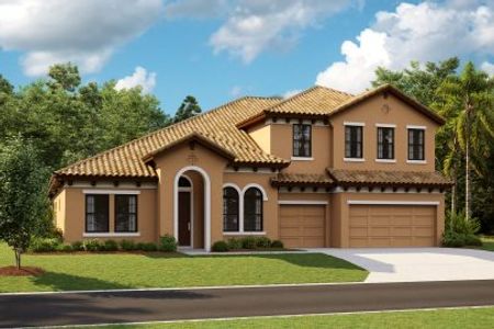 New construction Single-Family house 12832 Twin Bridges Drive, Riverview, FL 33579 - photo 2 2