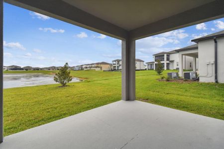 New construction Single-Family house 3125 Marine Grass Drive, Wimauma, FL 33598 Herrera - C- photo 9 9