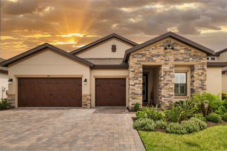 New construction Single-Family house 11211 Little River Way, Parrish, FL 34219 - photo 0 0