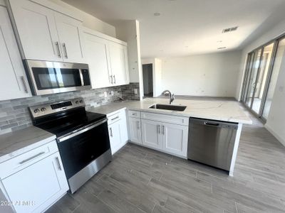 New construction Single-Family house 29922 N 162Nd Street, Scottsdale, AZ 85262 - photo 4 4