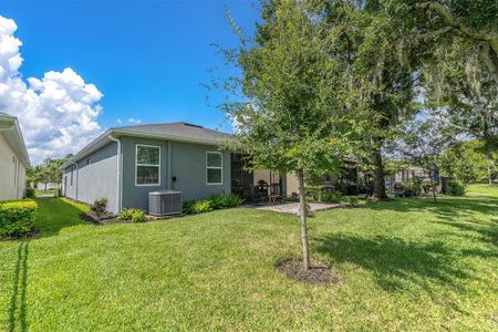 New construction Single-Family house 3730 Maxwell Park Dr, Sun City Center, FL 33573 - photo 25 25