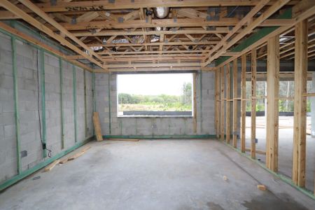 New construction Single-Family house 10614 New Morning Drive, Tampa, FL 33647 Grandsail  III- photo 16 16