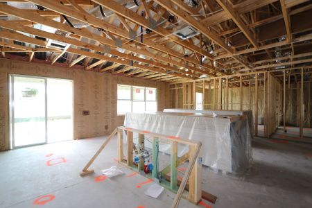 New construction Single-Family house 32568 Sapna Chime Drive, Wesley Chapel, FL 33545 Barcello- photo 41 41