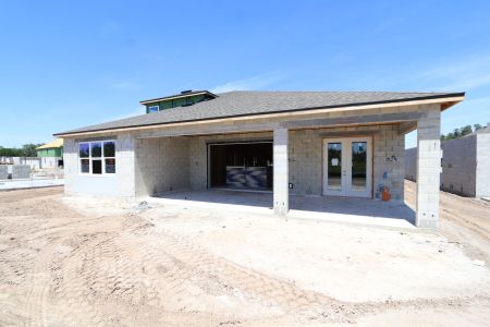 New construction Single-Family house 10609 New Morning Drive, Tampa, FL 33647 Corina  III Bonus- photo 21 21