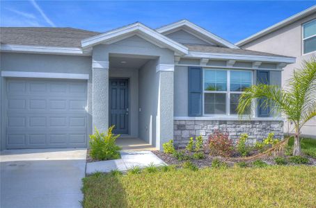 New construction Single-Family house 12463 Shining Willow Street, Riverview, FL 33579 Camden- photo 3 3
