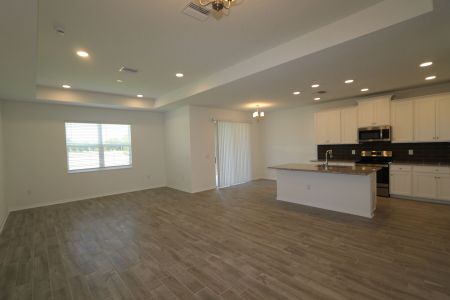 New construction Single-Family house 837 Hillshire Place, Spring Hill, FL 34609 Marque- photo 43 43