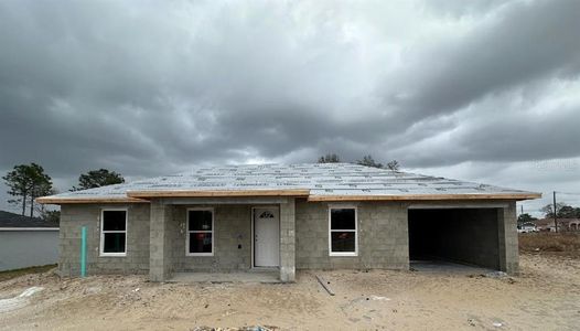 New construction Single-Family house 228 Locust Pass Loop, Ocala, FL 34472 - photo 0 0
