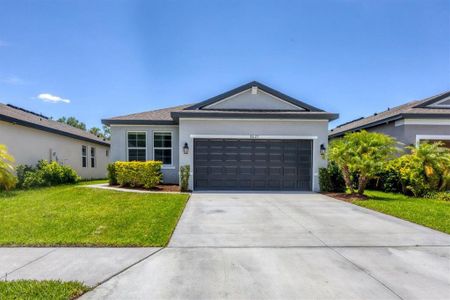 New construction Single-Family house 8627 Firefly Place, Parrish, FL 34219 - photo 39 39