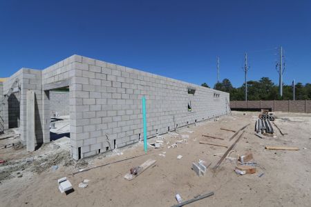 New construction Single-Family house 2517 Clary Sage Drive, Spring Hill, FL 34609 Corina  III- photo 6 6
