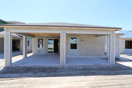 New construction Single-Family house 31843 Sapna Chime Drive, Wesley Chapel, FL 33545 Picasso- photo 46 46