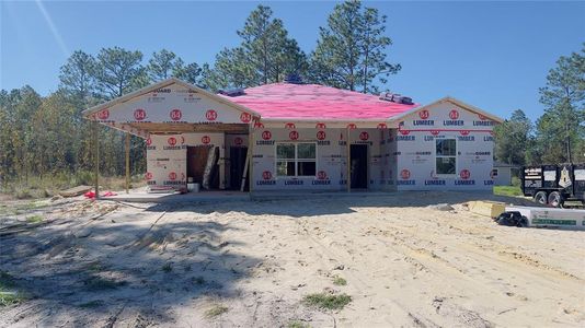 New construction Single-Family house 890 Ne 150Th Court, Williston, FL 32696 - photo 0 0