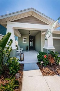 New construction Single-Family house 5425 Del Coronado Drive, Apollo Beach, FL 33572 - photo 8 8