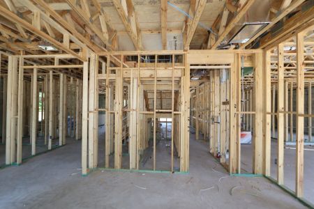 New construction Single-Family house 10634 New Morning Drive, Tampa, FL 33647 Grandshore II- photo 18 18