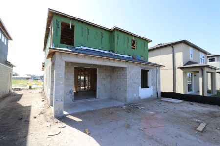 New construction Single-Family house 5254 Currant Street, Lakeland, FL 33811 Marina- photo 27 27