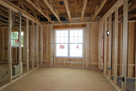 New construction Single-Family house 3113 Armeria Drive, Apex, NC 27502 Brittain - Signature Collection- photo 16 16