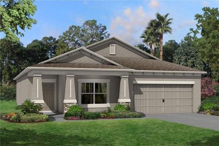 New construction Single-Family house 12020 Hilltop Farms Drive, Dade City, FL 33525 Picasso- photo 0