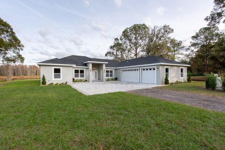 New construction Single-Family house 8930 Overlook Dr, Wesley Chapel, FL 33545 - photo 0