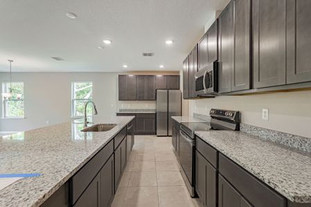 New construction Single-Family house 206 Barrington Drive, Haines City, FL 33844 - photo 40 40