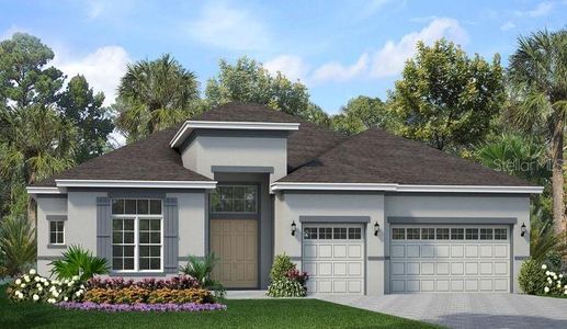New construction Single-Family house 1002 Signet Drive, Apollo Beach, FL 33572 - photo 0