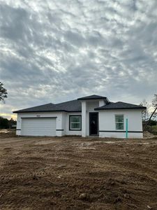 New construction Single-Family house 3922 Sw 161St Loop, Ocala, FL 34473 - photo