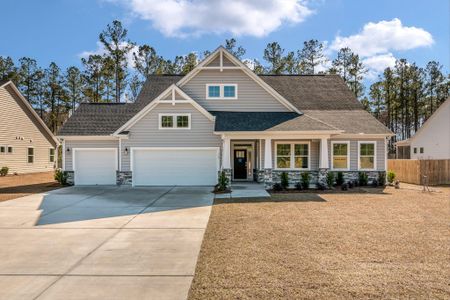 New construction Single-Family house 164 Huguenot Trail, Huger, SC 29450 - photo 0