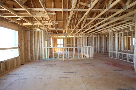 New construction Single-Family house 12383 Hilltop Farms Drive, Dade City, FL 33525 Malibu- photo 7 7