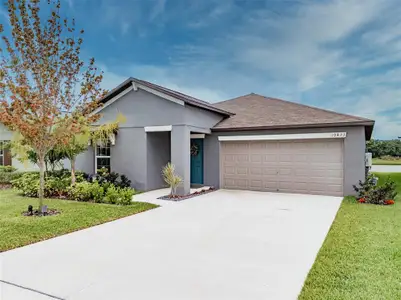 New construction Single-Family house 10433 Alder Green Drive, Riverview, FL 33578 - photo