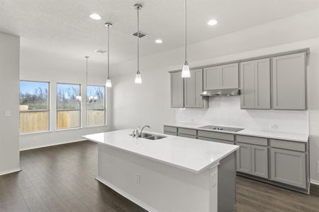 New construction Single-Family house 315 Brookside St, Hutto, TX 78634 Nevada- photo 13 13