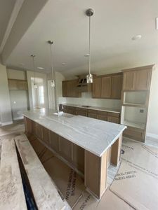 New construction Single-Family house 470 Brown Road, Leonard, TX 75424 Colca II- photo 8 8