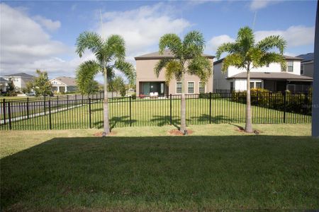 New construction Single-Family house 5602 Del Coronado Drive, Apollo Beach, FL 33572 - photo 40