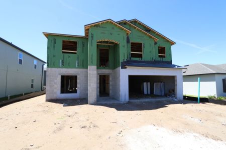 New construction Single-Family house 12383 Hilltop Farms Drive, Dade City, FL 33525 Malibu- photo 20 20