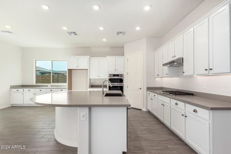 New construction Single-Family house 17209 W Manzanita Drive, Waddell, AZ 85355 - photo 10 10
