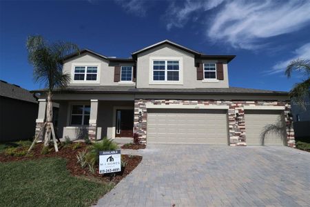 New construction Single-Family house 4909 Eagle Rock Drive, Wimauma, FL 33598 Mira Lago- photo 0