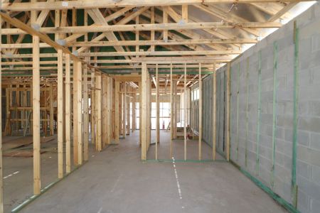 New construction Single-Family house 2530 Sunny Pebble Loop, Zephyrhills, FL 33540 Salinas- photo 9 9