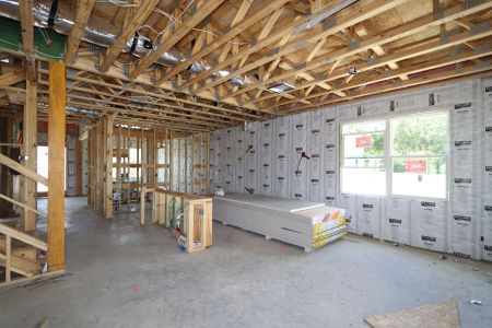New construction Single-Family house 2522 Sunny Pebble Loop, Zephyrhills, FL 33540 Mira Lago- photo 89 89