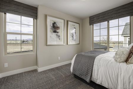 New construction Single-Family house 1094 Sugarloaf Lane, Erie, CO 80516 Randem- photo 7 7