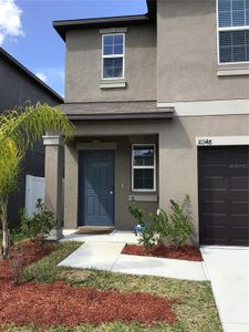 New construction Single-Family house 10348 Blue Plume Court, Riverview, FL 33578 - photo 1 1