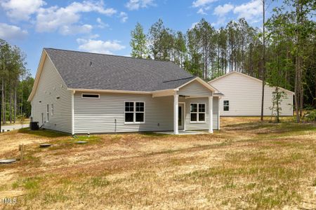 New construction Single-Family house 297 Red River Drive, Selma, NC 27576 - photo 23 23