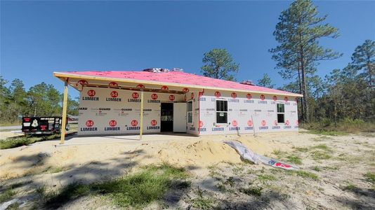 New construction Single-Family house 890 Ne 150Th Court, Williston, FL 32696 - photo 1 1